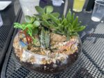 Plant Night At The Pickle Barrel, Waterloo Paint Night - May 26th, 2026 - Image 2