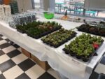 Plant Night At The Pickle Barrel, Waterloo Paint Night - May 26th, 2026 - Image 4