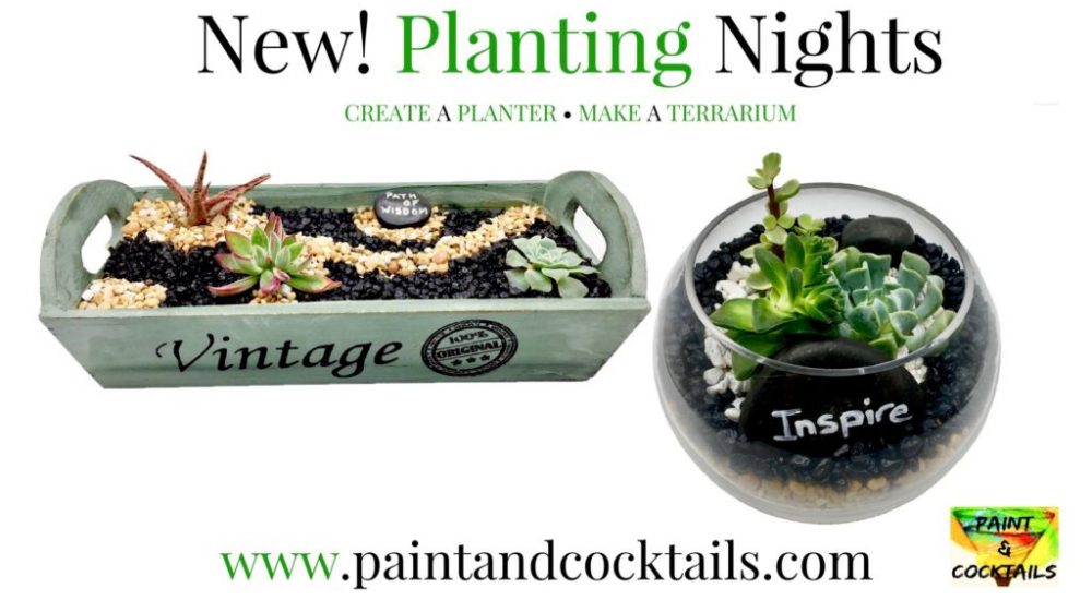 Plant Night